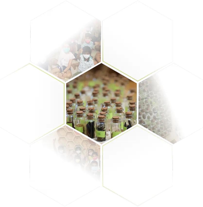 THE BIOMIMICRY HIVE