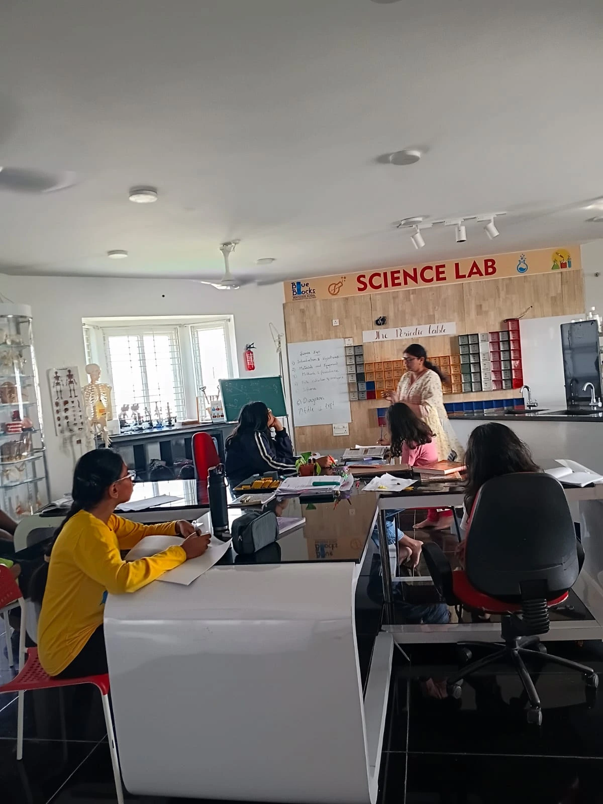 The Mentor, Not the Teacher